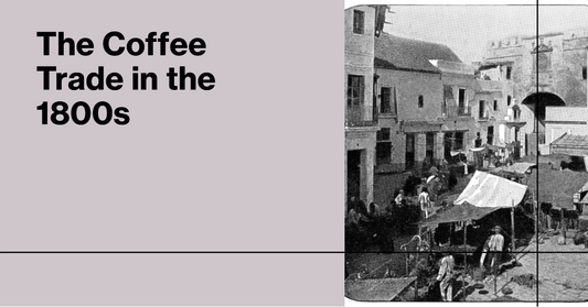 Part 2: The Rise of Coffee Trade and Expansion